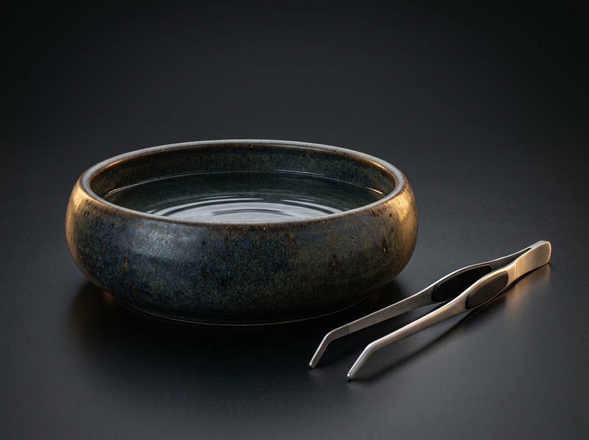Bowls & Feeding